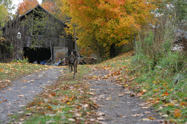 Photo by Chad Lieberman IMG_2762