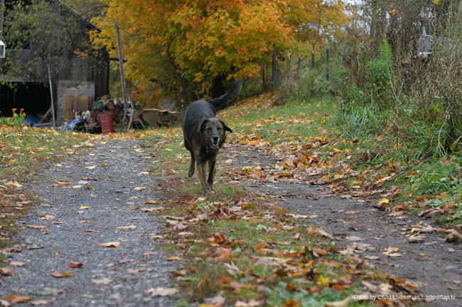 Photo by Chad Lieberman IMG_2778