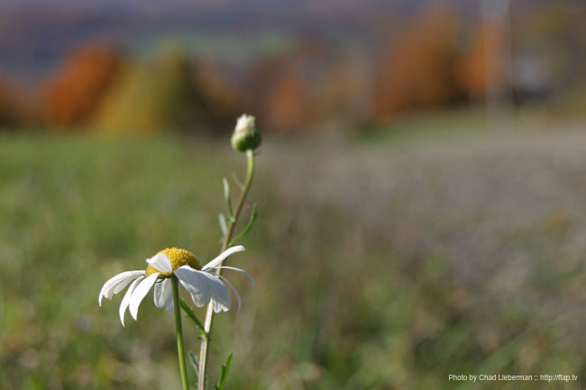 Photo by Chad Lieberman IMG_3225