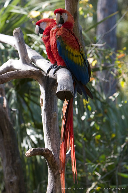 Photograph by Chad Lieberman CRW_9295