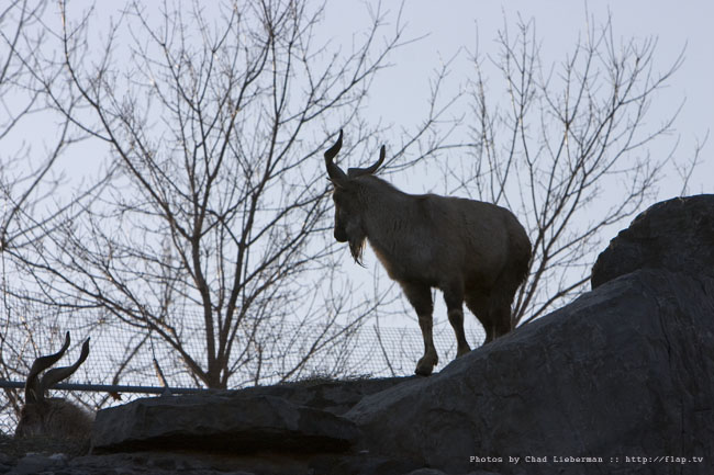 Photograph by Chad Lieberman CRW_9551