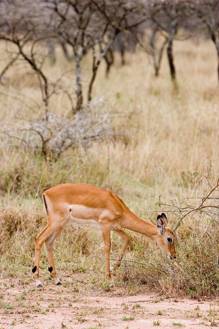 Photograph by Chad Lieberman CRW_6604