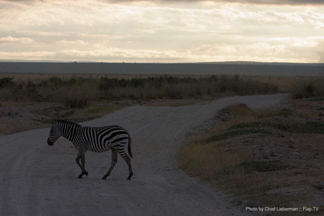 Photograph by Chad Lieberman CRW_7400