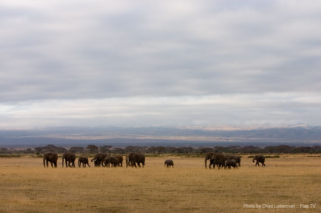 Photograph by Chad Lieberman CRW_7430