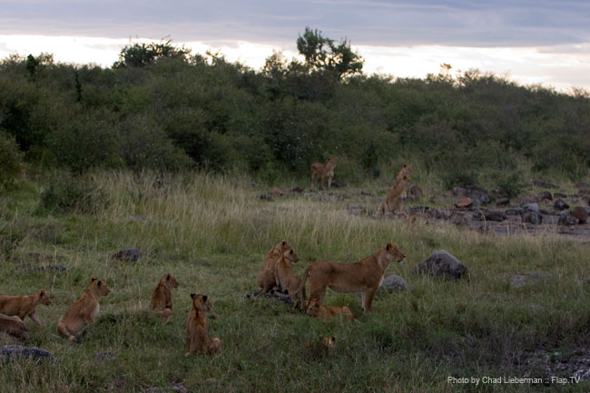 Photograph by Chad Lieberman CRW_8539