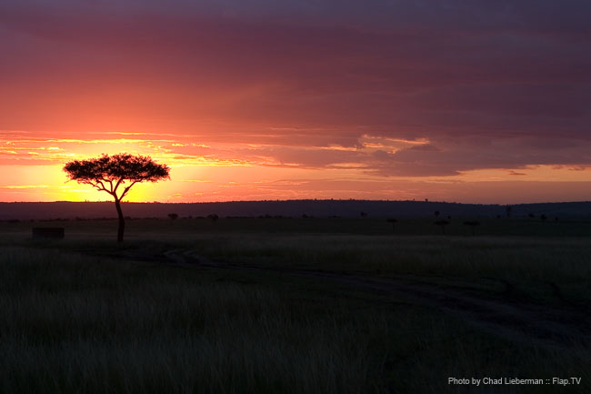 Photograph by Chad Lieberman CRW_8634