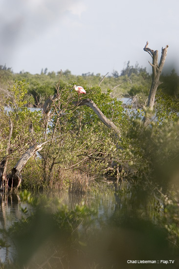 Photograph by Chad Lieberman CRW_2256