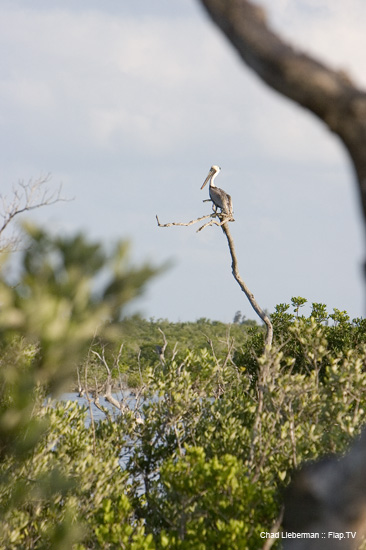 Photograph by Chad Lieberman CRW_2264