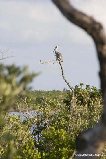 Photograph by Chad Lieberman CRW_2265