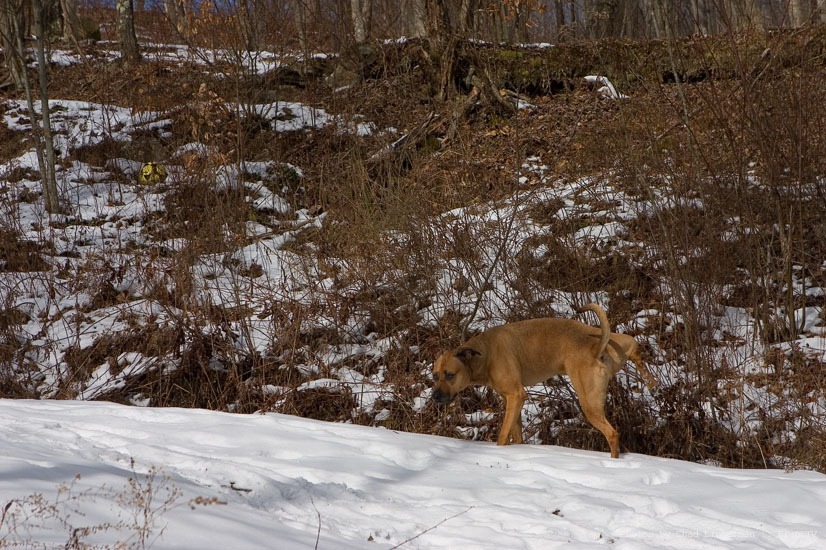 Photograph by Chad Lieberman CRW_3299