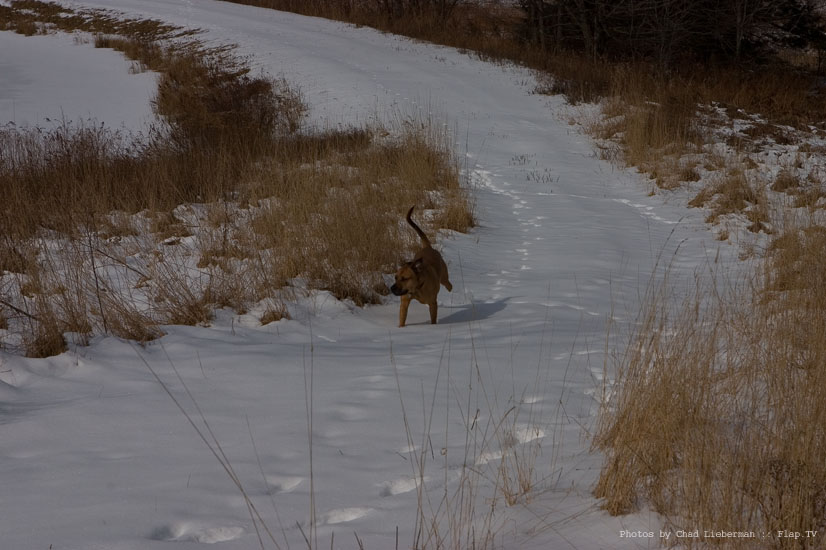 Photograph by Chad Lieberman CRW_3372