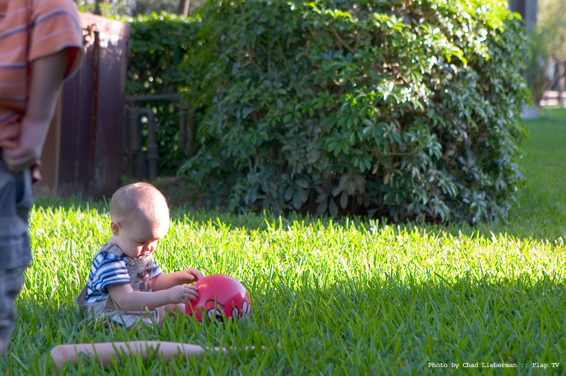 Photograph by Chad Lieberman CRW_2555
