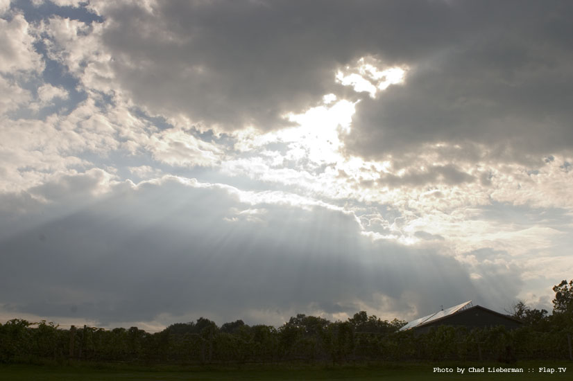 Photograph by Chad Lieberman CRW_0546