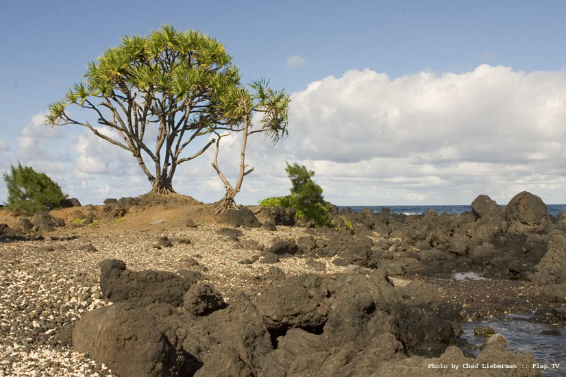 Photograph by Chad Lieberman CRW_1503