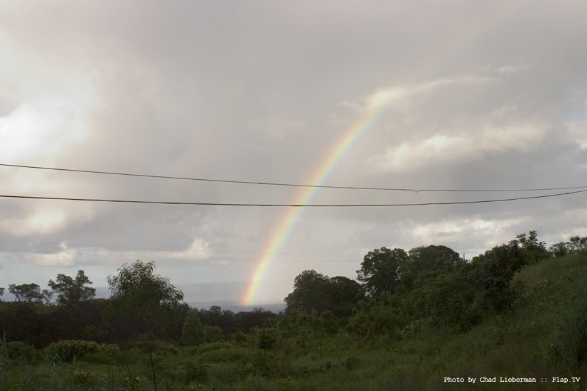 Photograph by Chad Lieberman CRW_1568