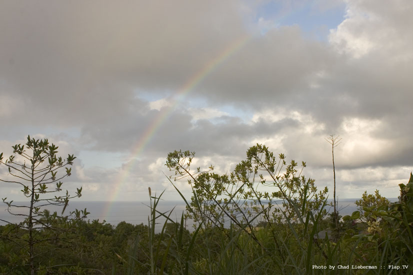 Photograph by Chad Lieberman CRW_1589