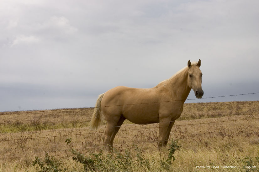 Photograph by Chad Lieberman CRW_2269