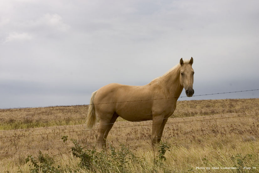 Photograph by Chad Lieberman CRW_2270