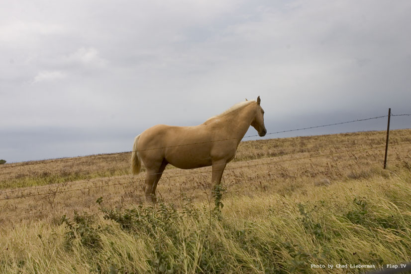 Photograph by Chad Lieberman CRW_2271