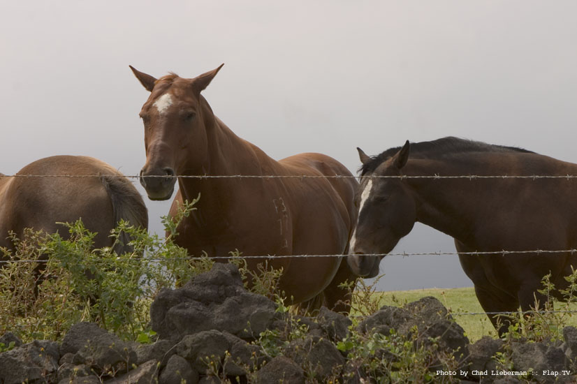 Photograph by Chad Lieberman CRW_2305