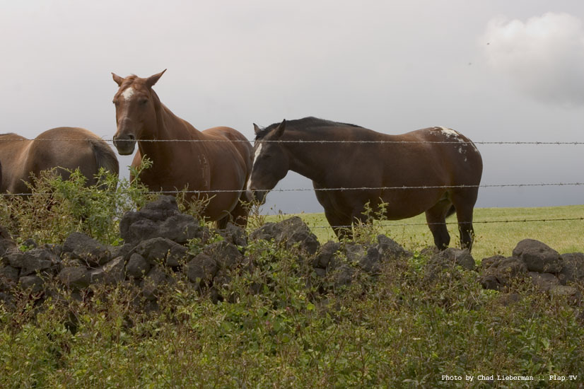 Photograph by Chad Lieberman CRW_2306