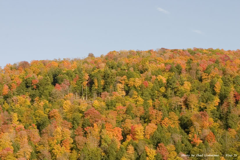 Photograph by Chad Lieberman CRW_2527