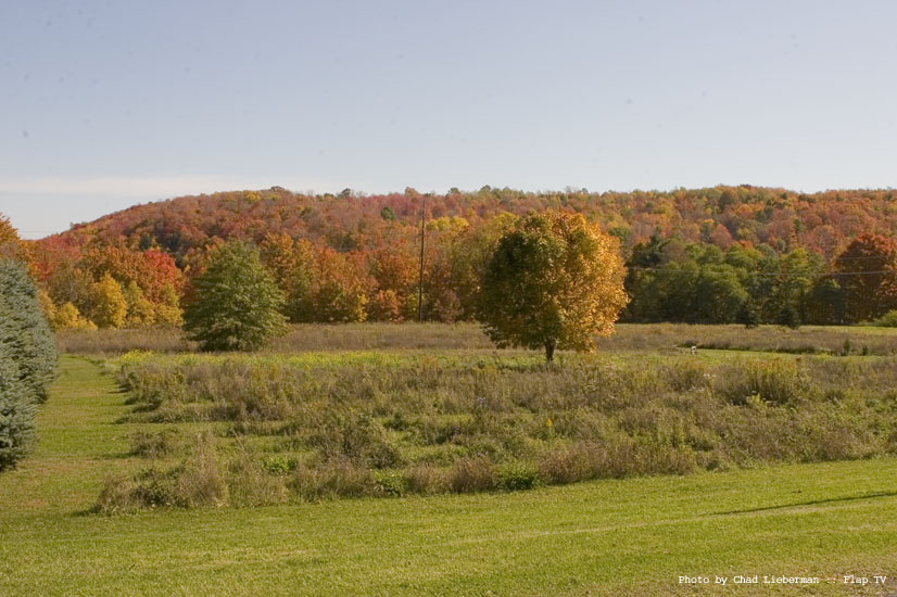 Photograph by Chad Lieberman CRW_2571