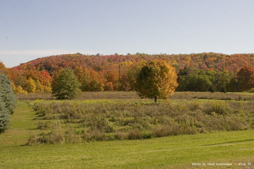 Photograph by Chad Lieberman CRW_2572