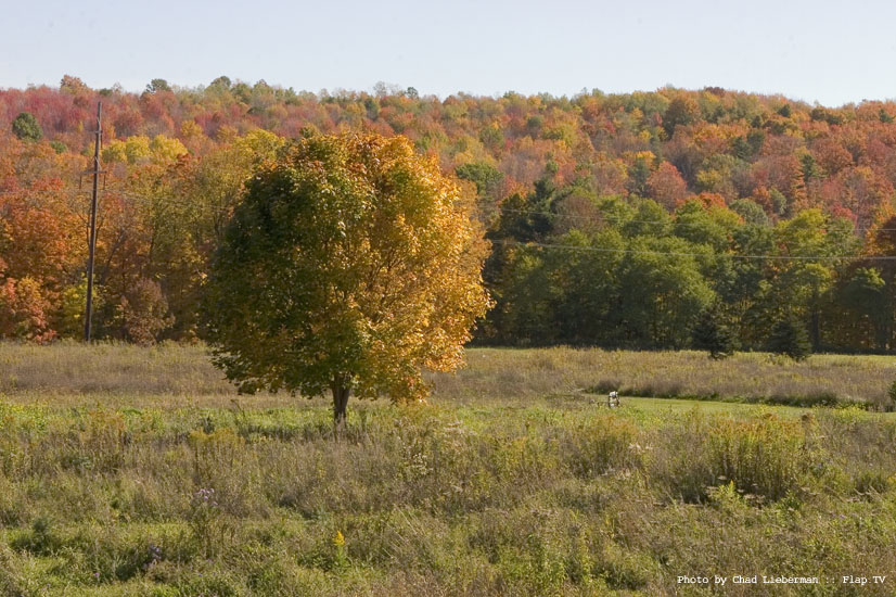 Photograph by Chad Lieberman CRW_2574