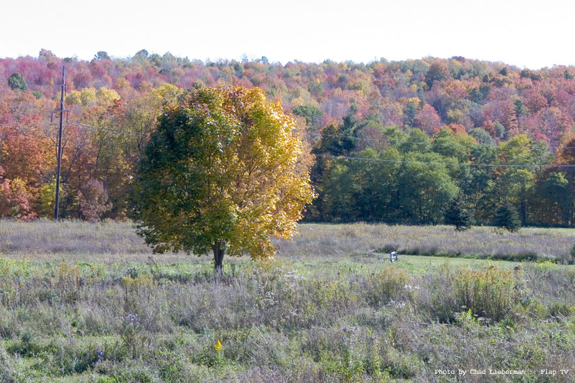 Photograph by Chad Lieberman CRW_2576