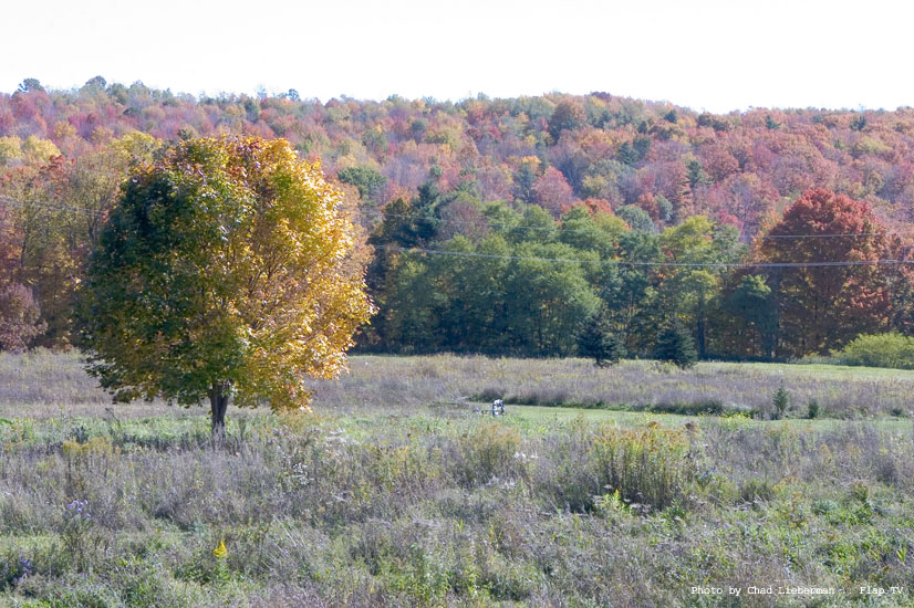 Photograph by Chad Lieberman CRW_2579