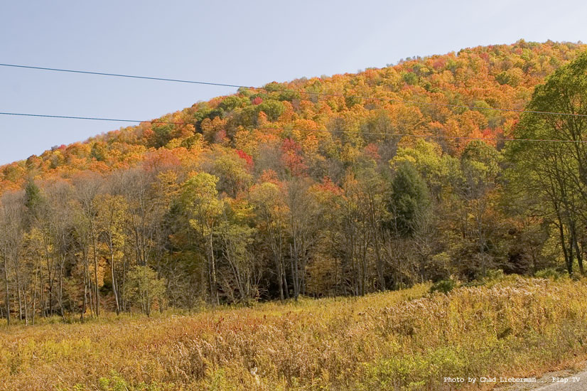 Photograph by Chad Lieberman CRW_2595