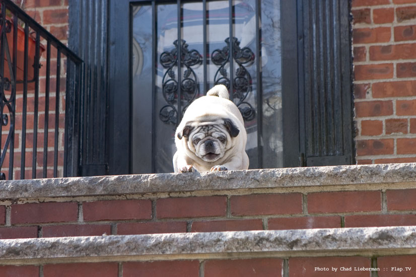 Photograph by Chad Lieberman 20090307_0082