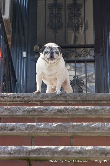 Photograph by Chad Lieberman 20090307_0105