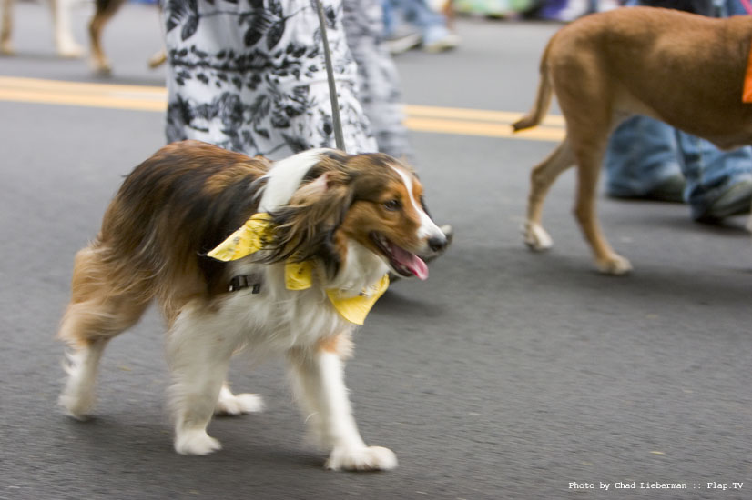 Photograph by Chad Lieberman 20090528_5409